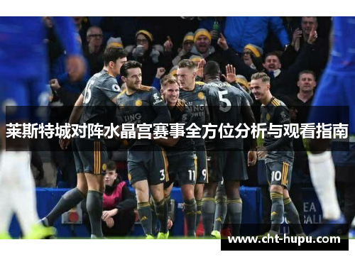 莱斯特城对阵水晶宫赛事全方位分析与观看指南