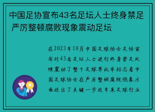 中国足协宣布43名足坛人士终身禁足 严厉整顿腐败现象震动足坛